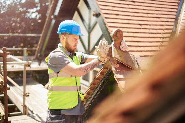 Best Roof Repair Services  in Cody, WY